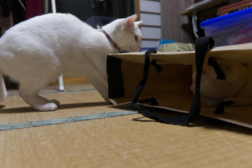 IMGP5924.jpg