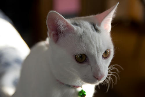 IMGP5944.jpg