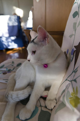 IMGP5948.jpg