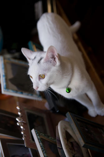 IMGP5942.jpg