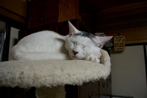 DSC_0284.jpg