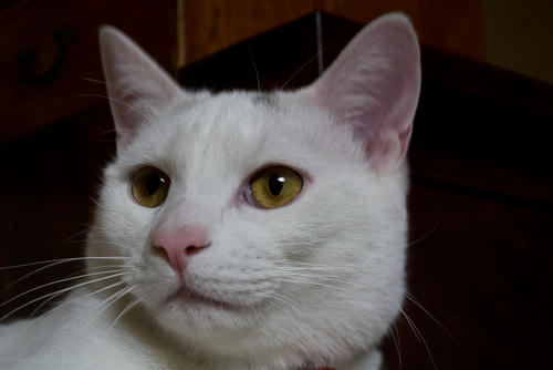 DSC_0555.jpg