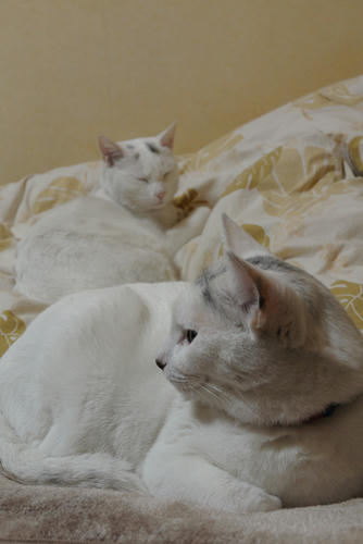 DSC_5225.jpg