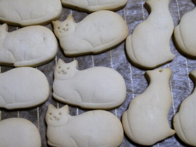 半立体猫クッキー