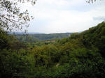CA390883.JPG