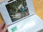 CA391531.JPG
