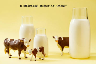 1日1杯の牛乳は、体に何をもたらすのか?
