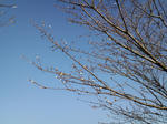 CA3C10550001.jpg