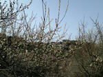 CA3C1142.JPG
