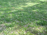CA3C1237.JPG