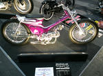 CA3C1245.JPG