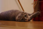 IMGP0298.jpg