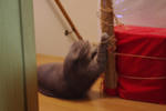 IMGP0302.jpg