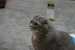 IMGP0306.jpg