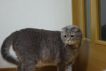 IMGP0309.jpg