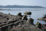 IMGP0357.jpg
