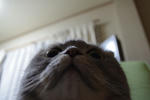 IMGP0331.JPG