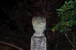 IMGP0530.jpg