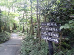 CA3C1371.JPG