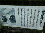 CA3C1429.jpg