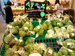 2011-0313-150802369.JPG