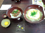 2011-0313-124501865.JPG