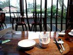 2011-0313-183255226.JPG