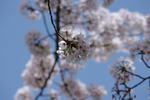 IMGP0897.JPG