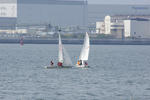 IMGP0914.JPG