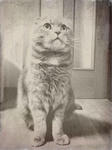 oldphoto.jpg