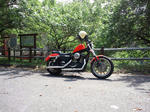 DSC_0163.JPG