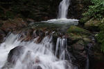 IMGP0987.JPG