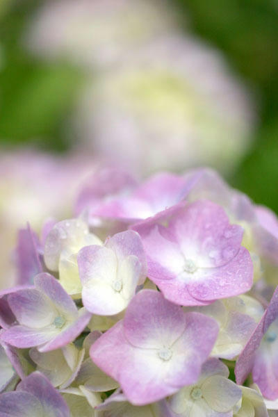 100620-04.jpg