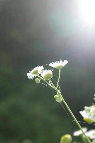 100704-02.jpg