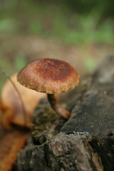100704-05.jpg