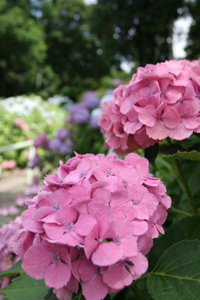 100705-01.jpg