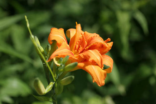 100707-01.jpg