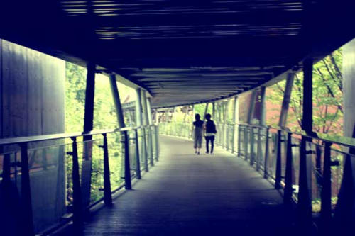 100715-01.jpg