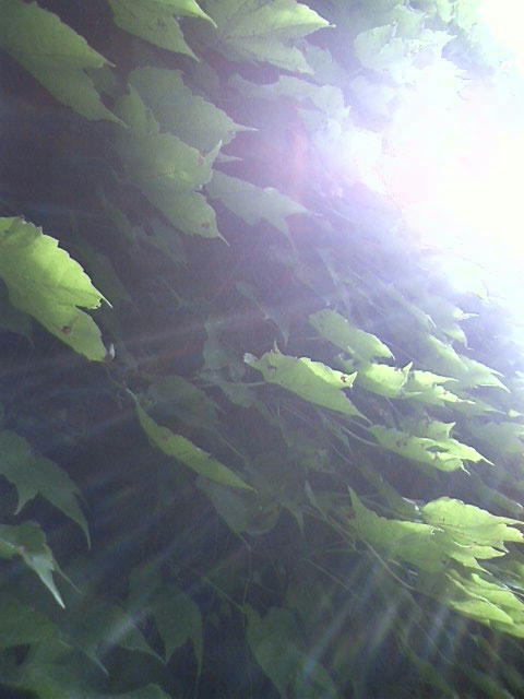100715-10.jpg