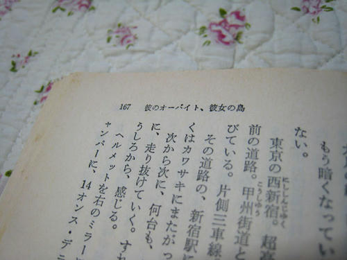 100806-03.jpg