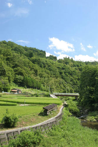 100808-01.jpg