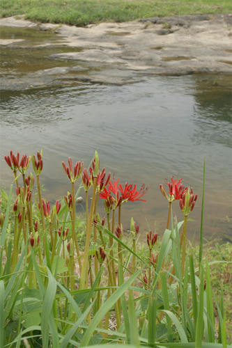100926-02.jpg