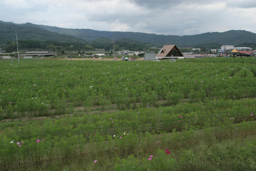 100930-04.jpg