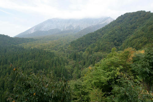 101014-01.jpg