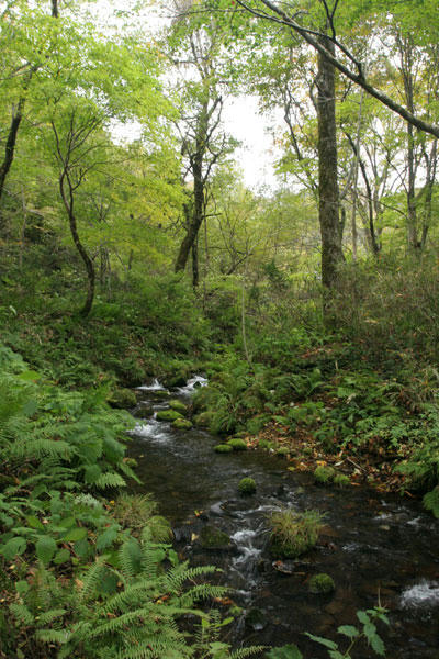 101101-04.jpg