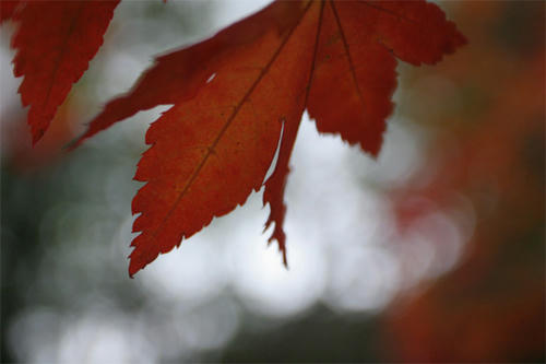 101101-02.jpg