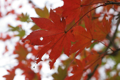 101101-01.jpg