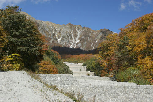 101104-01.jpg