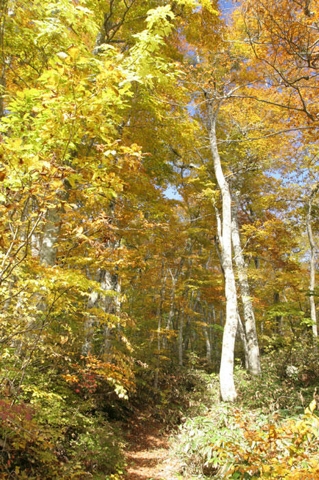 101104-02.jpg