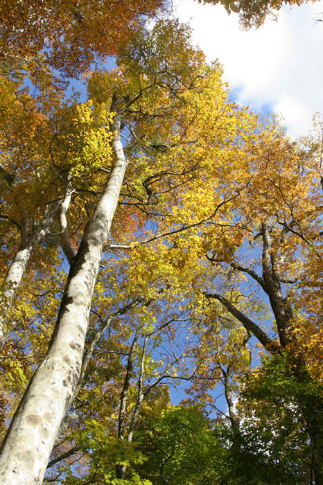 101104-03.jpg